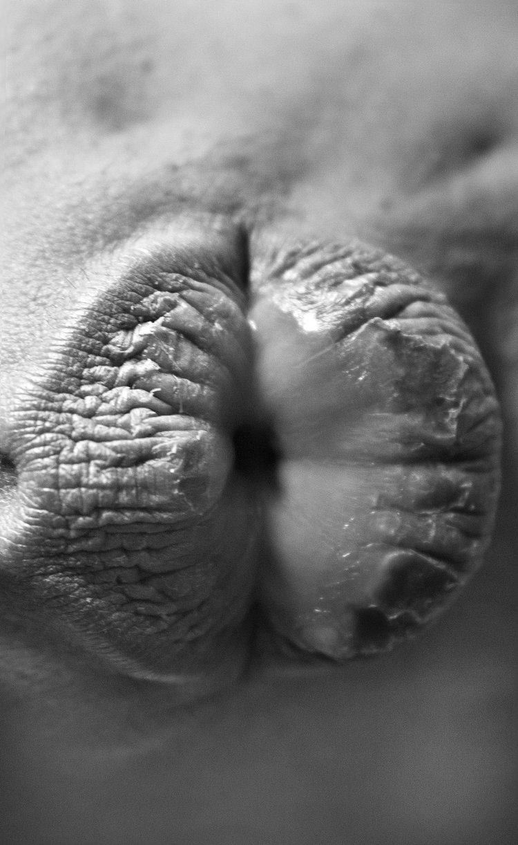 Knot artwork 8
